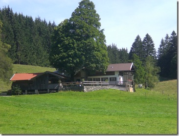 CIMG8410