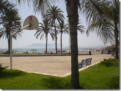 CIMG8574