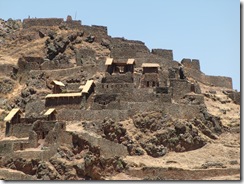 CIMG0780