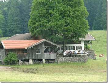 CIMG2626